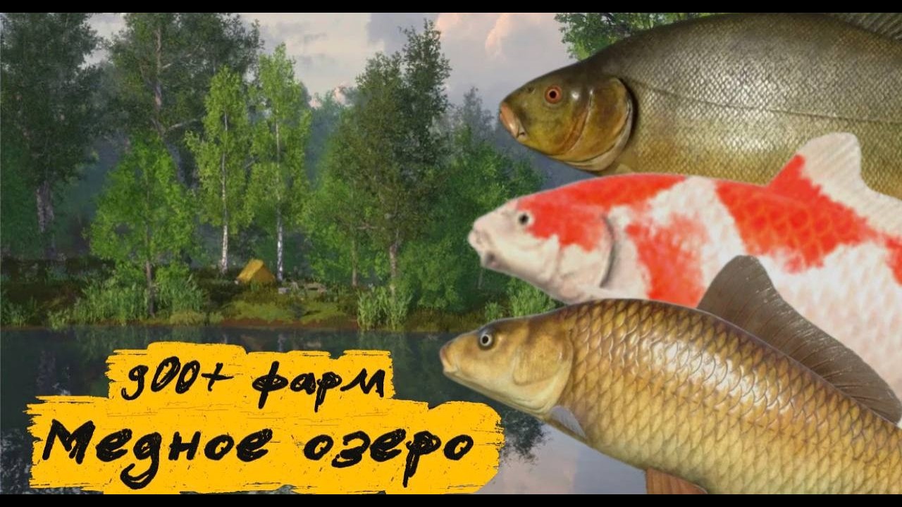 ФАРМ НА МЕДНОМ В РР4. 900+ В ЧАС