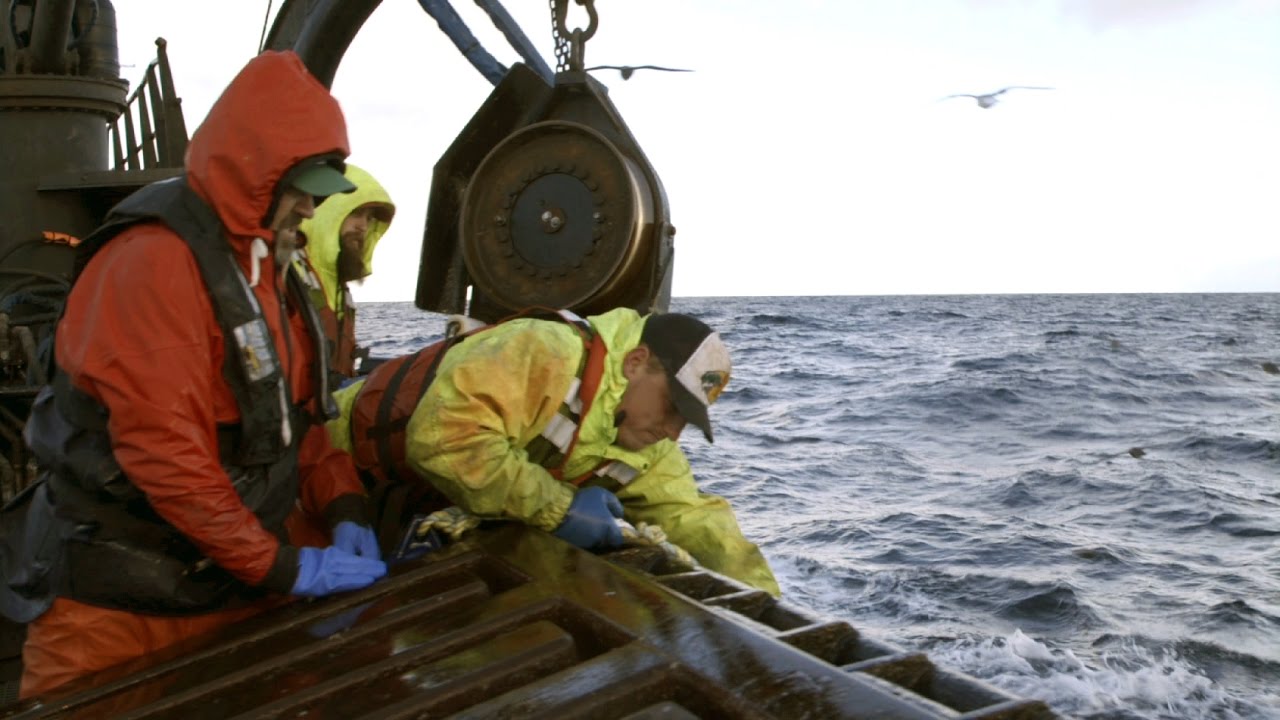 How's This For A Wake Up Call? A Deckhand Gets Snagged By A Hook On The Wizard