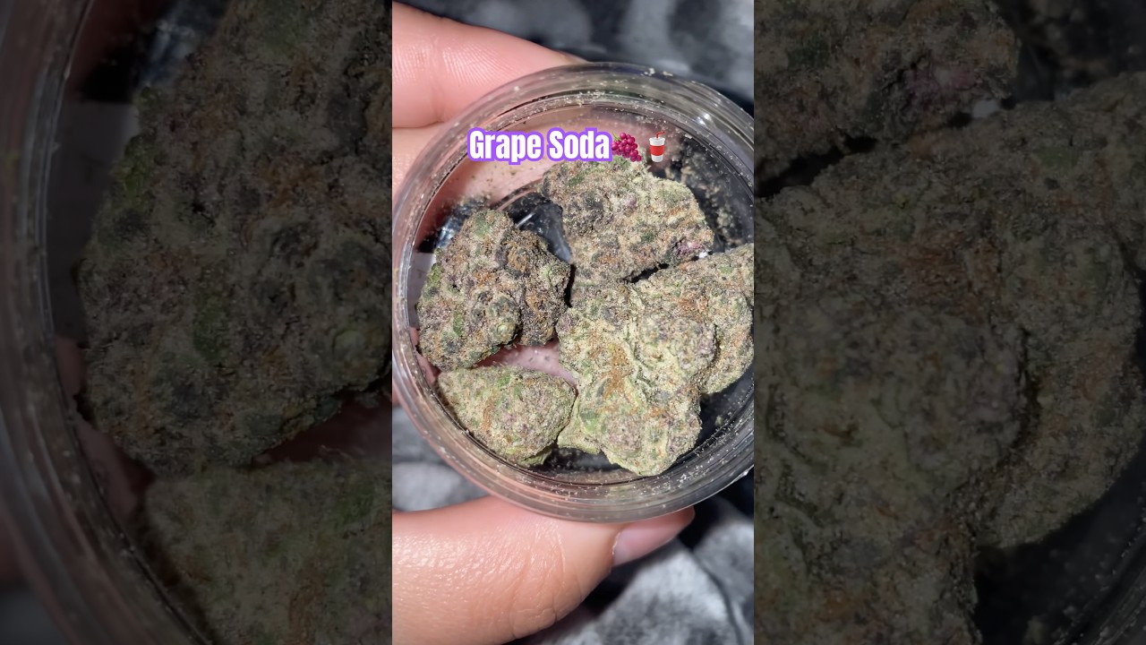 Grape Soda💜||Thcasmallbuds|| use code 