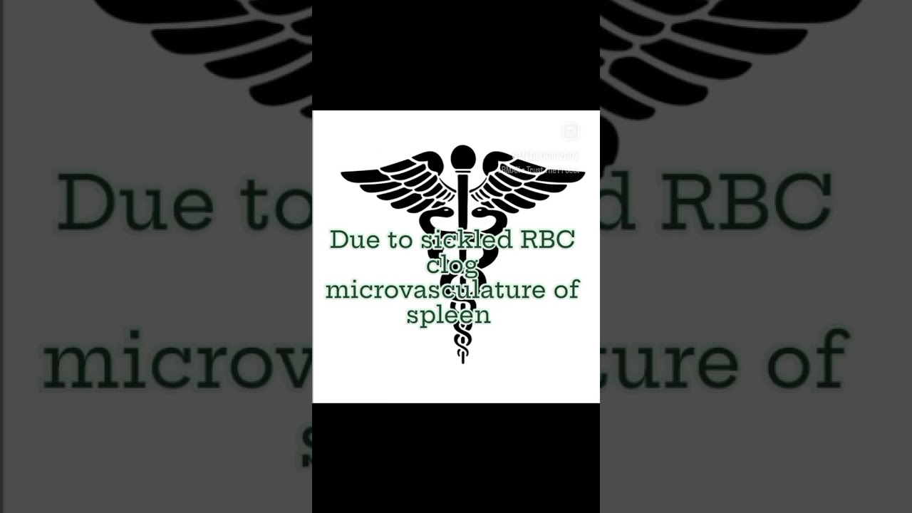Autospleenectomy #medicine#mbbs#neetpg#logics#shorts#doctor#explore #find#thelogicaldoctor#follow