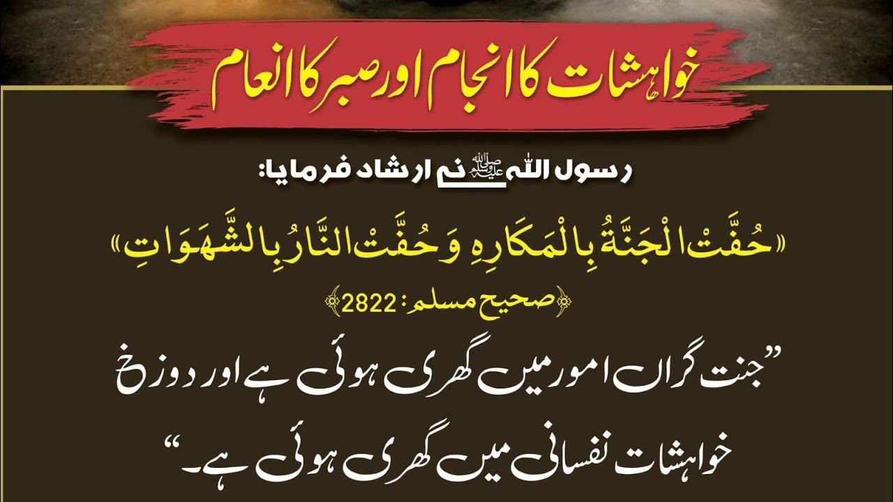 خوائش کا جام یا صبر کا جام؟ | زندگی کے فیصلے اور سکون | Dr 786 TV