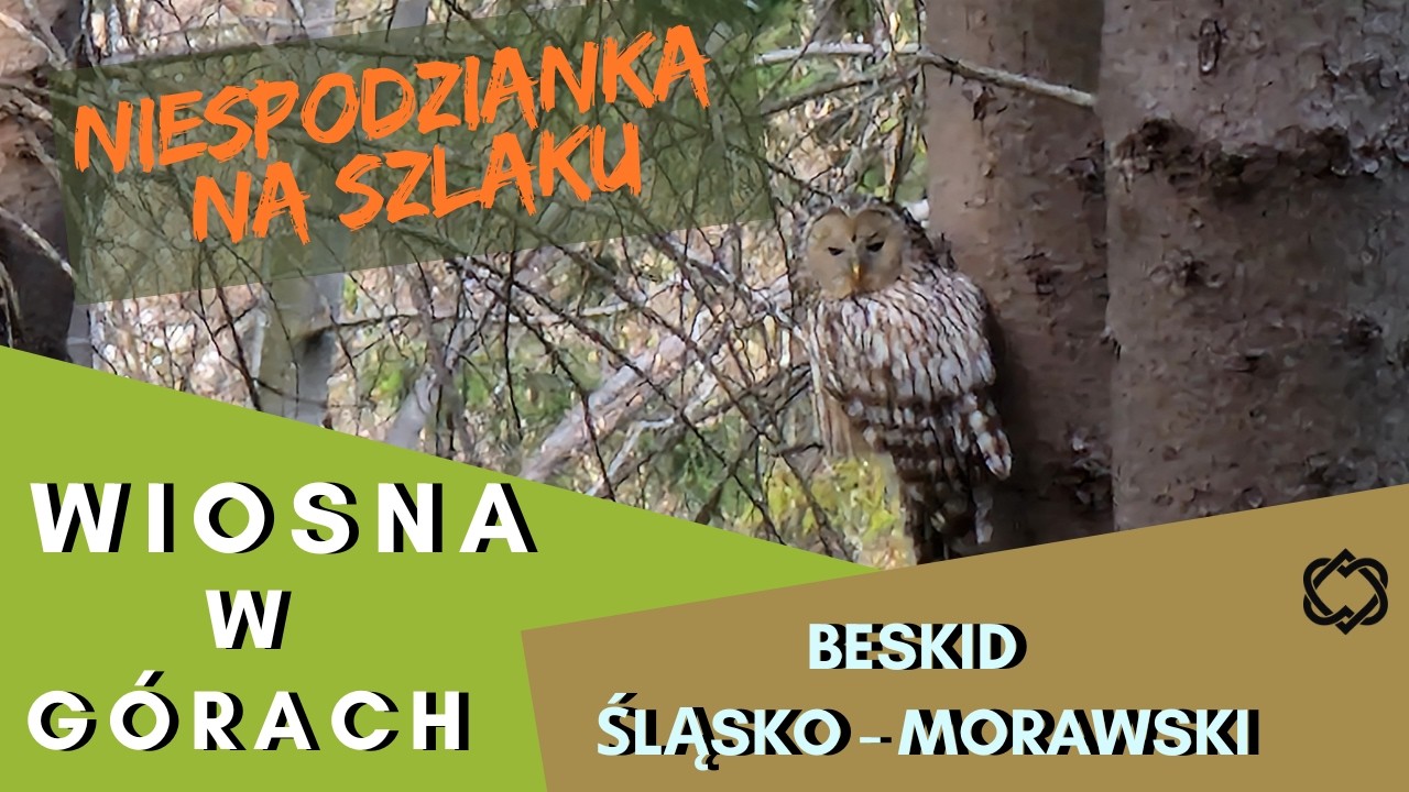 Spokojny szlak w Beskidzie Śląsko-Morawskim 🇨🇿 | Wędrówka, która zbliża