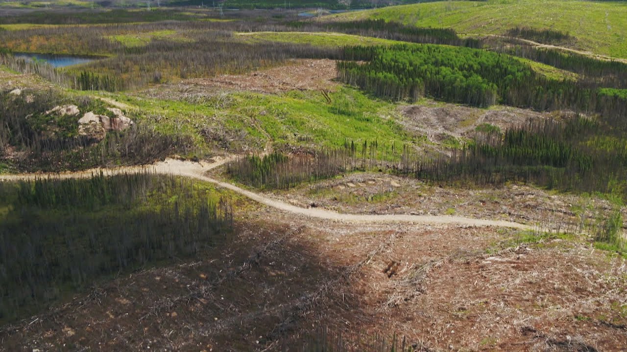 La semaine verte | Économie et protection de la biodiversité : incompatibles? (3/3)