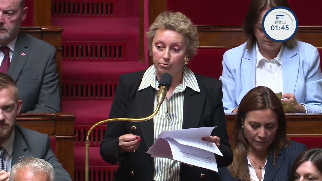 Marine Hamelet : Alerte sur les carences de l'Aide sociale à l'enfance ! (QAG)