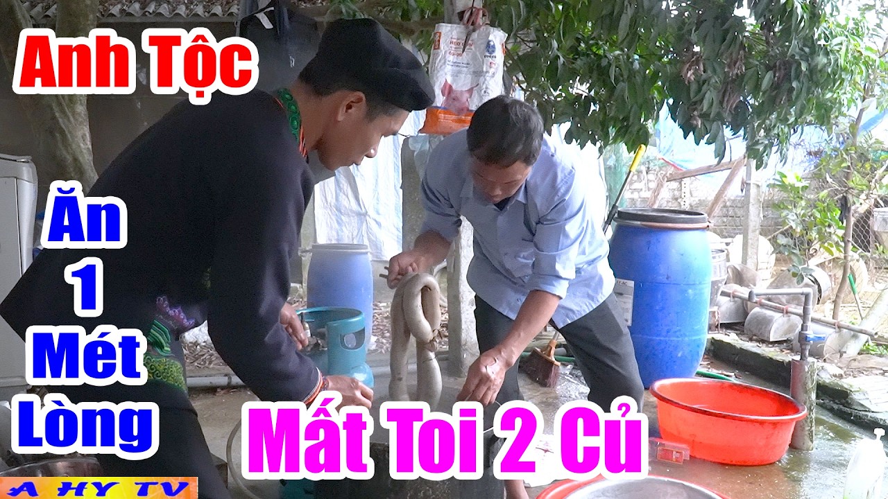 Anh Tộc Ăn 1 Mét Lòng Mất Toi 2 Củ - Hài Tết A Hy 2026 Mới Nhất Cười Vỡ Mồm