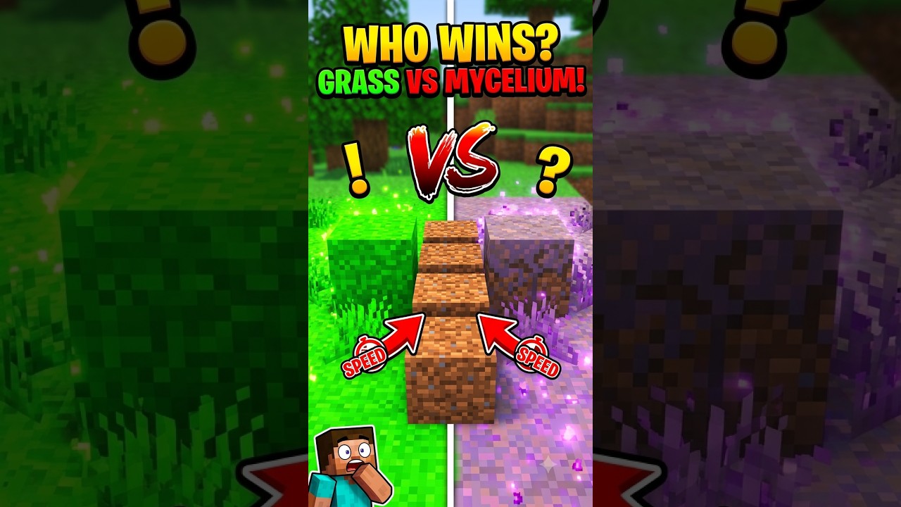 NO ONE Expected This Minecraft Winner... 🤯