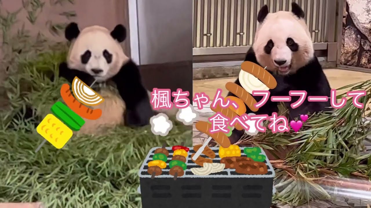 ありがとう永明パパ　いってらっしゃい桜🌸姉ちゃん、桃🍑姉ちゃん　ずっとずっとみんな家族だよ💕