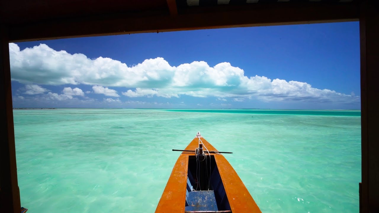 Fly Fishing Kiritimati Island 🌴  - 4K VLOG 107