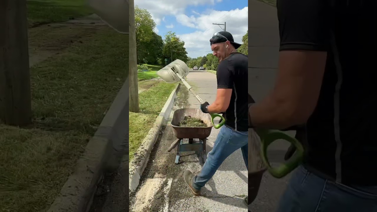 Homeowners see their yard for first time! #satisfyingvideo #asmr