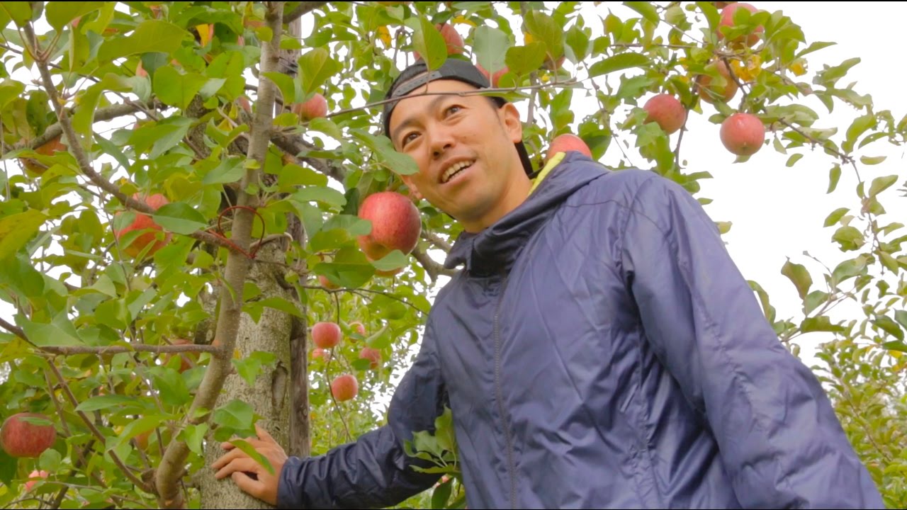 ふくしまの今～環境放射線と食の安全