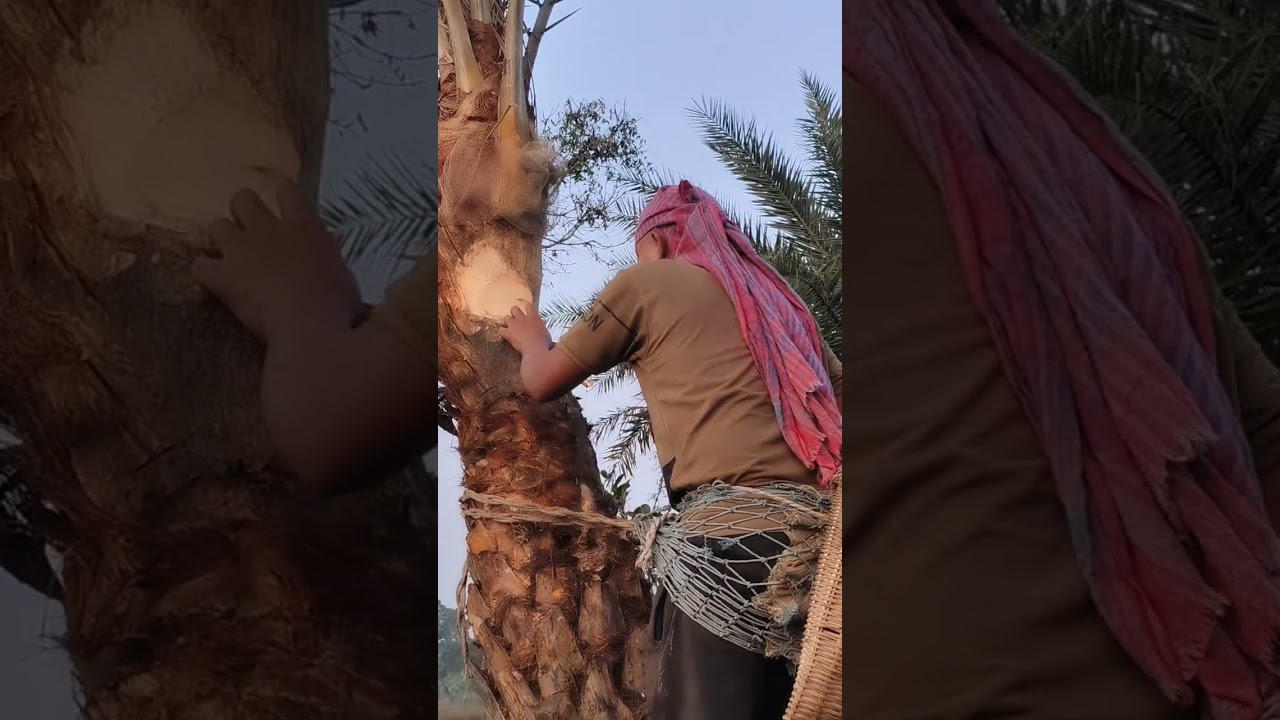 গ্ৰামের একটা ঐতিহ্য তুলে ধরলাম সকালের সামনে 