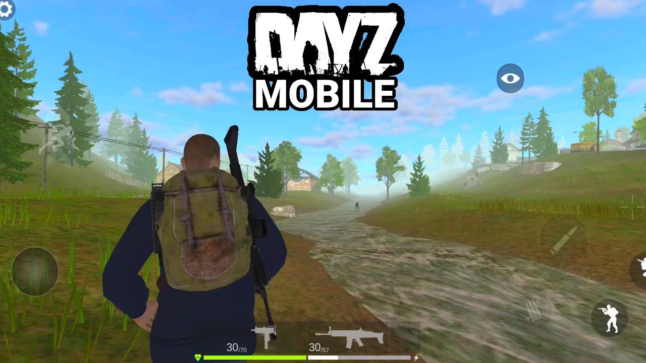DayZ Mobile - VORAZ