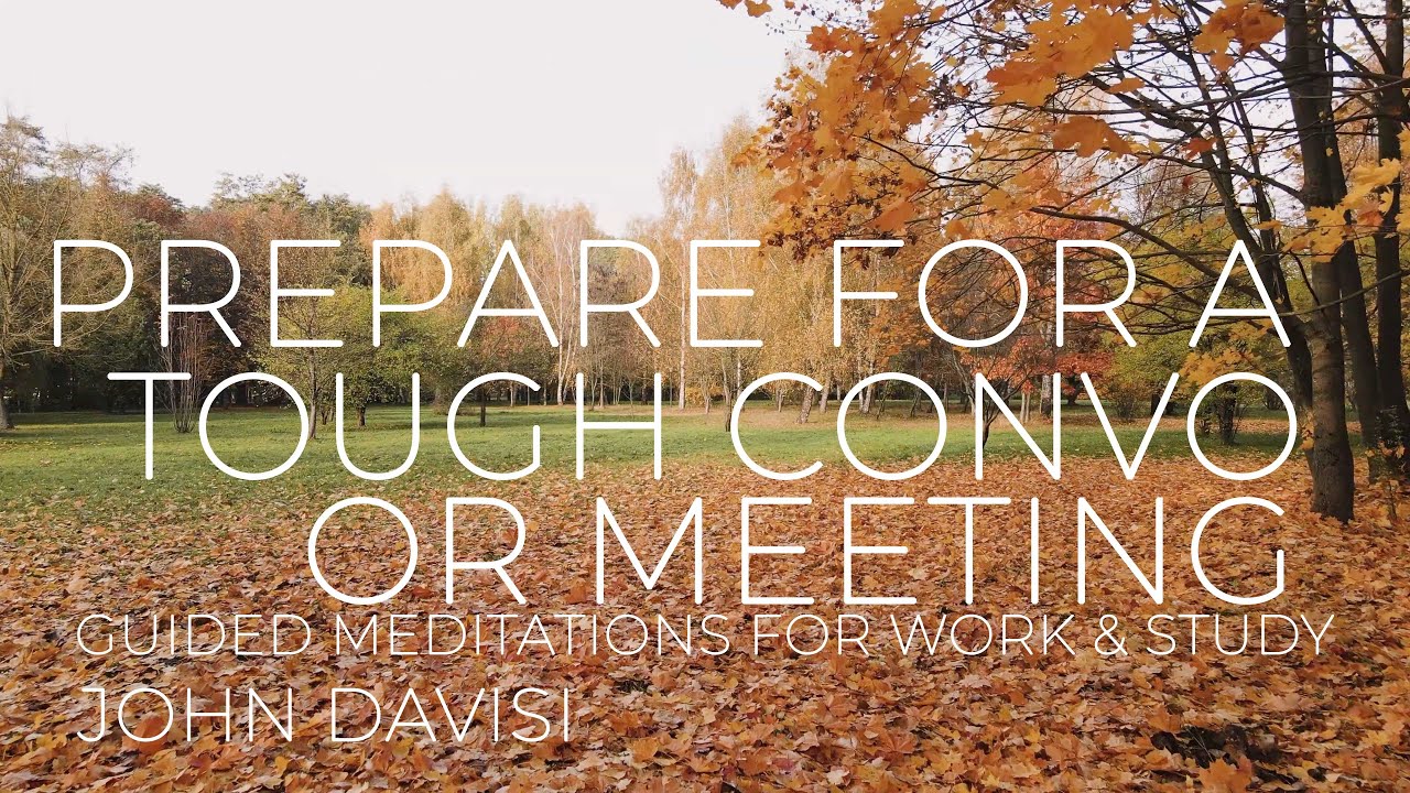 Prepare for a Meeting | John Davisi | Guided Meditation