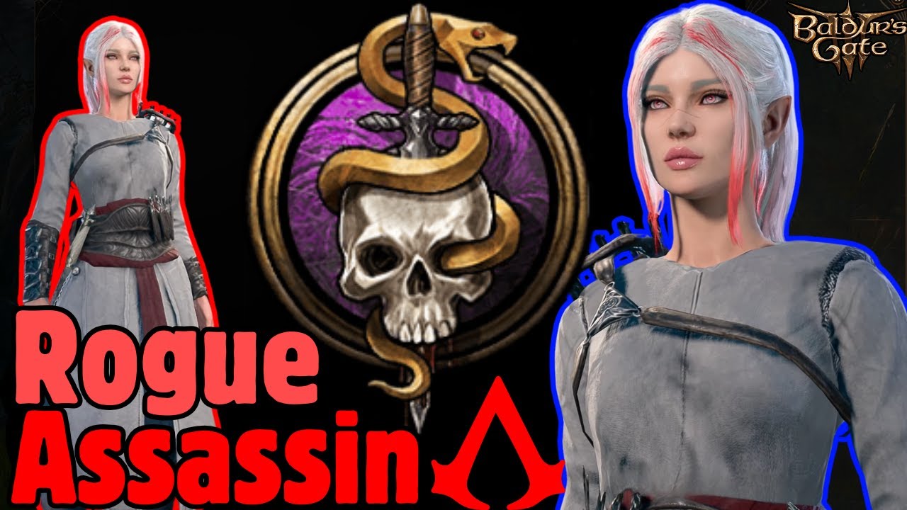 Rogue ASSASSIN Patch 8 Build in Baldur's Gate 3