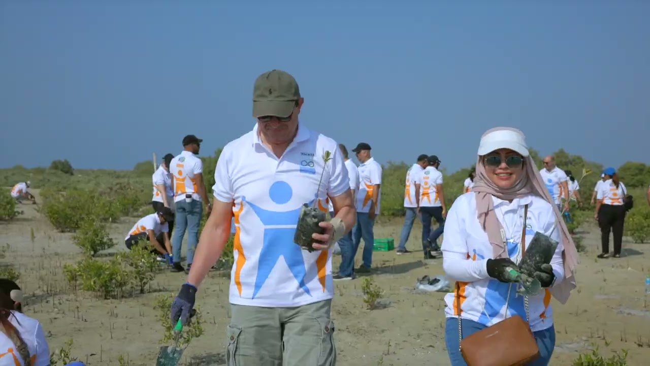 Planting mangrove trees in Dubai I UAE I with the WACKER team