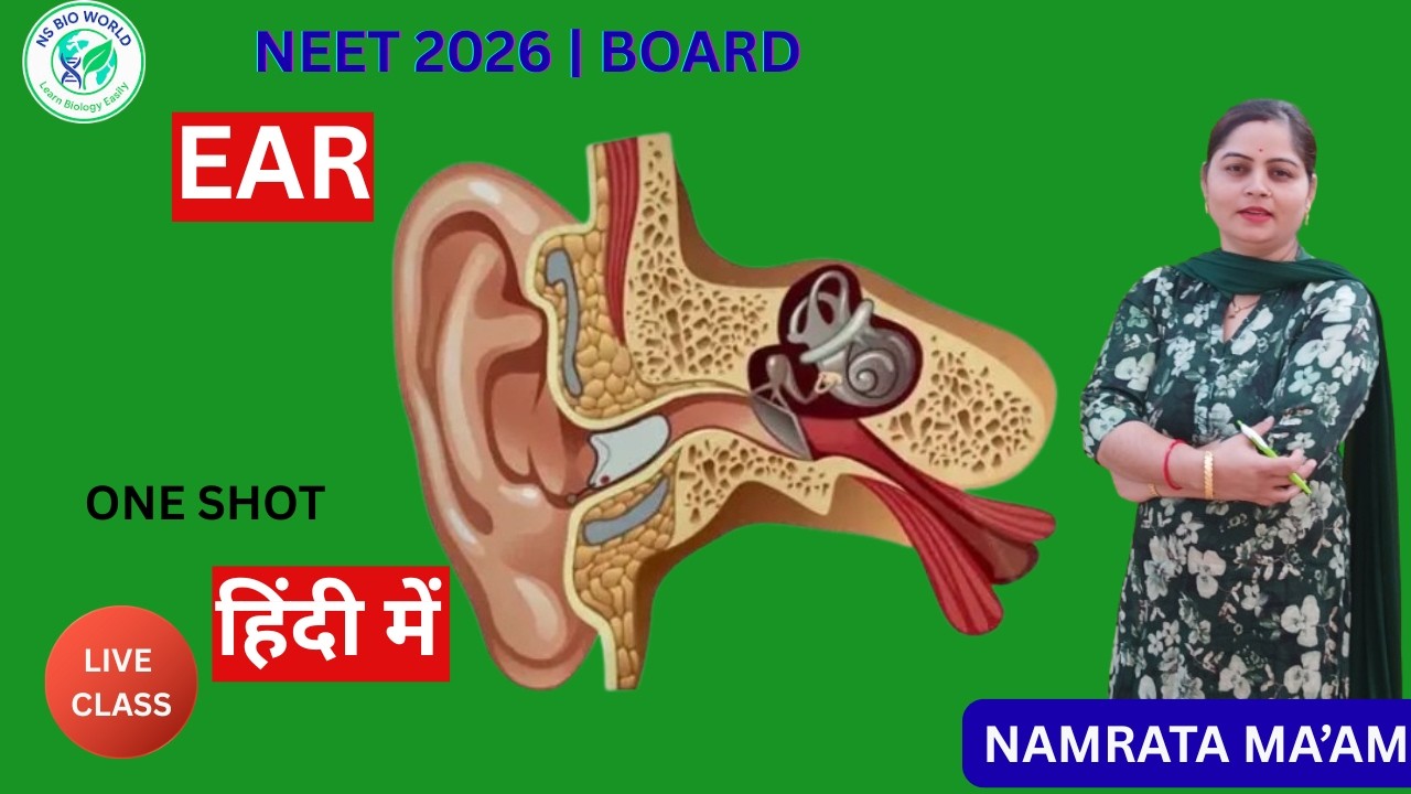 Human Ear | Structure & Functions | Hearing and Balance | Class 11 Biology | NEET