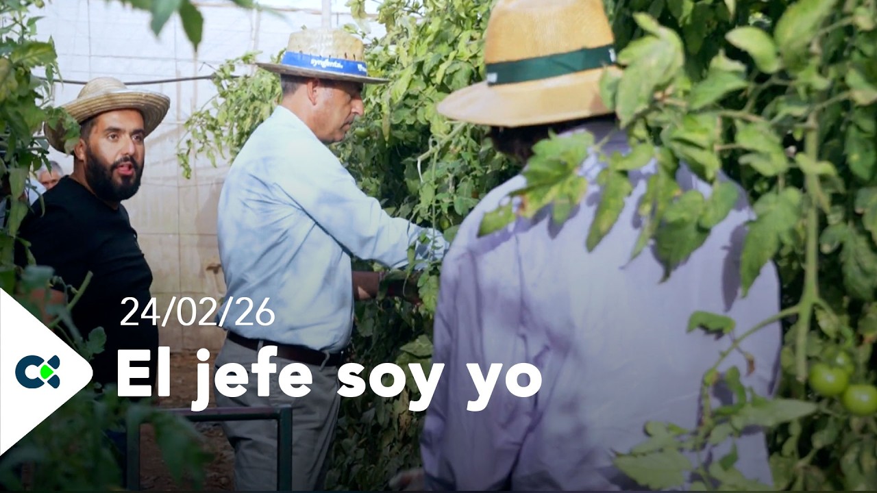 El jefe soy yo | 24/02/26