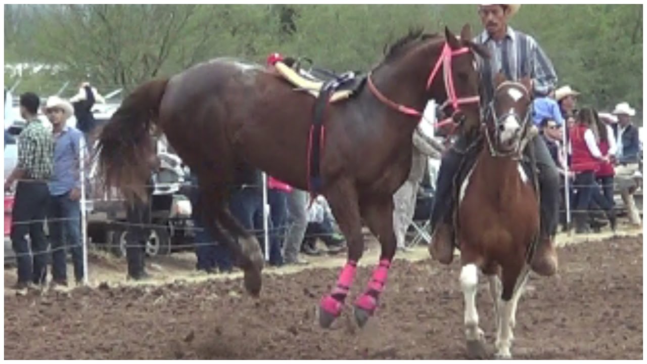 Carreras de Caballos en Huasabas, Son  30 de Diciembre 2016