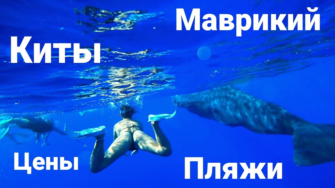 Киты на Маврикии! Рейтинг пляжей. Цены!