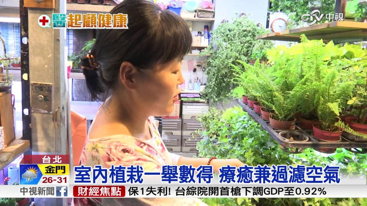室內蘆薈盆栽 抵過9台空氣清淨機│中視新聞 20160617