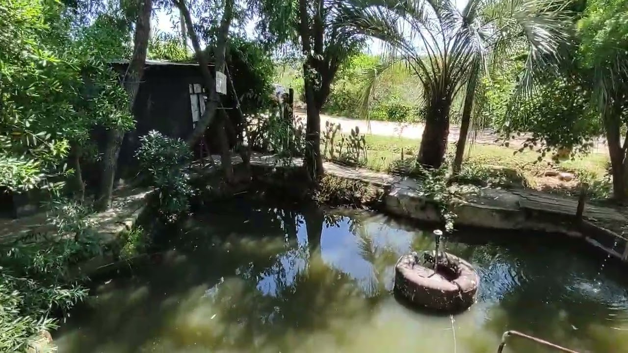 Casa Venta 4 dormitorios 4 baños Maldonado Uruguay