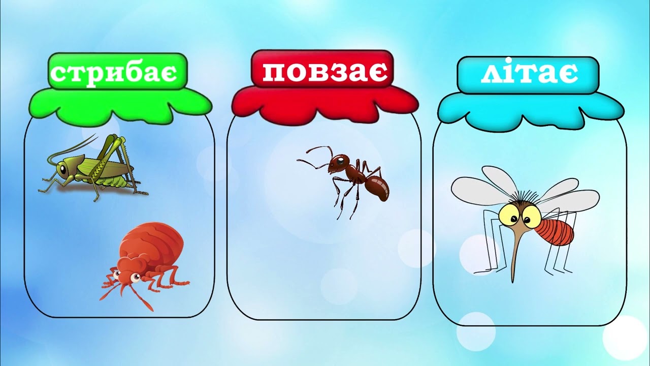 Дидактична гра: Літають, повзають, стрибають (комахи)