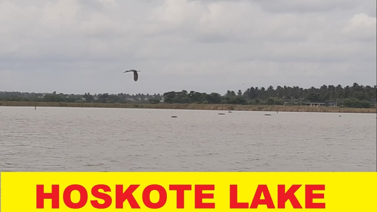Unexplored Lake in Bangalore | Hoskote Lake | Best Scenic Location | Must Visit Place