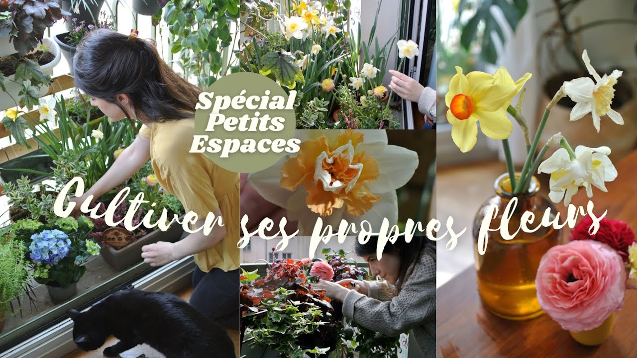 Récolter ses propres fleurs toute l’année - Sans jardin ni balcon !! Spécial petits espaces