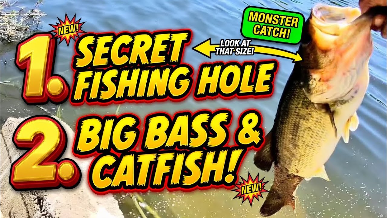 Sneaking Into a Hidden Fishing Paradise: Big Bass and Catfish Adventure!