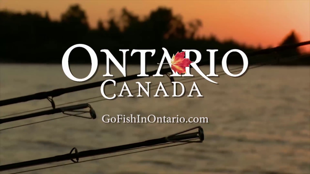 Tamarack Muskies