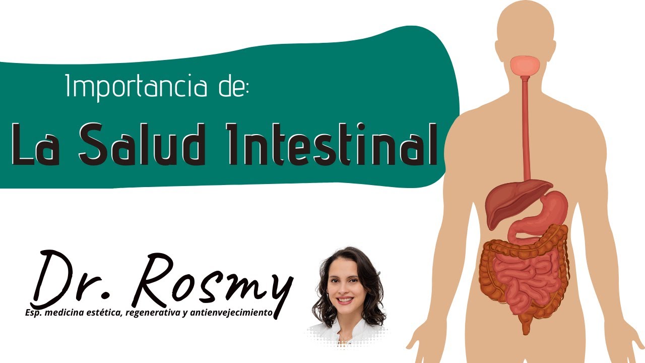 La Importancia de Mantener un Intestino Saludable