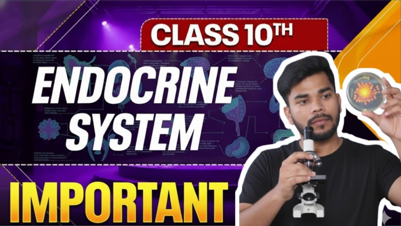 Hormones in Animals || Class 10 || Biology Control and Coordination|| CBSE board 2026