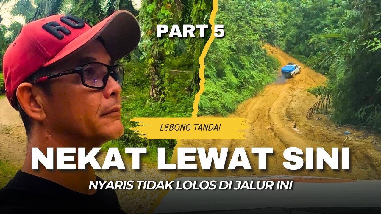 PART 5, KAMI BERUSAHA LOLOS DARI DALAM  HUTAN SUMATERA .