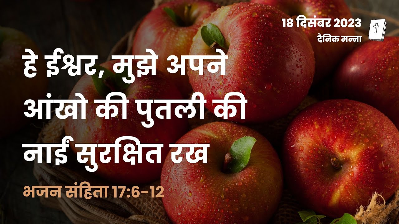 भजन संहिता 17:6-12 | हे ईश्वर, मुझे अपने आंखो की पुतली की नाईं सुरक्षित रख | दैनिक मन्ना