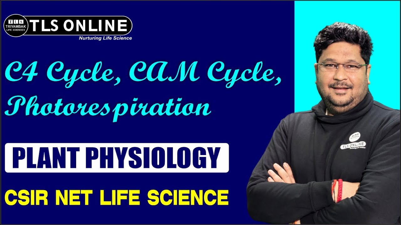 C4 Cycle, CAM Cycle, Photorespiration | CSIR NET Life Science | Ashish Kr Dwivedi |