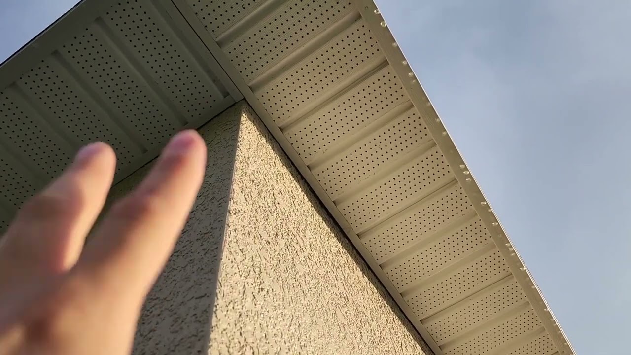 Animal Entry Points For Your Home