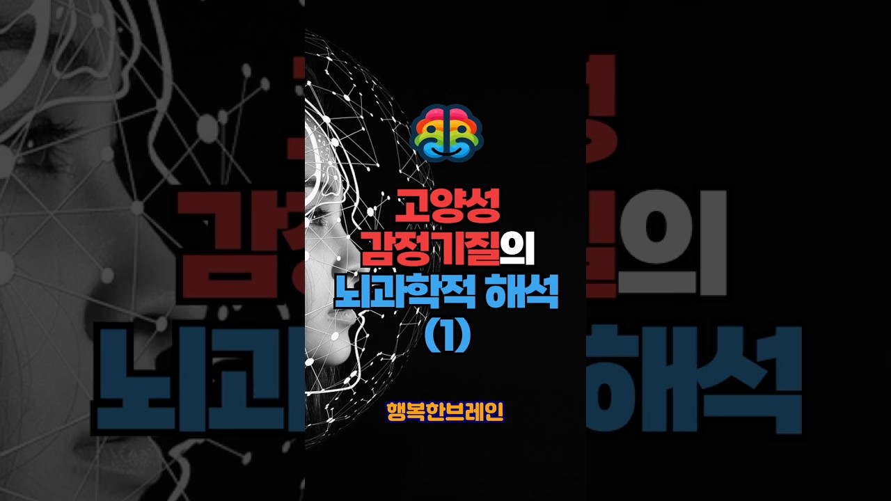 고양성 감정기질의 뇌과학적 해석(1). #고양성기질 #뇌과학 #도파민 #측좌핵 #복측피개부 #전전두엽피질 #편도체 #신경가소성 #감정조절 #감정반응성 #긍정성향 #감정기복