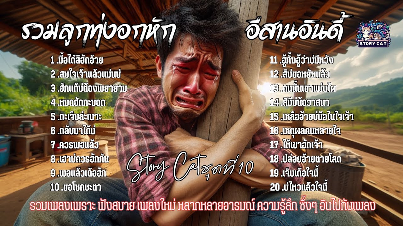 รวมเพลงลูกทุ่งอกหัก อีสานอินดี้  ใจโทรม ๆ ถืกหักอก ฟังไปฮ้องให้ไปนำ มื้อได๋สิฮักอ้ายแหน่ : Story cat