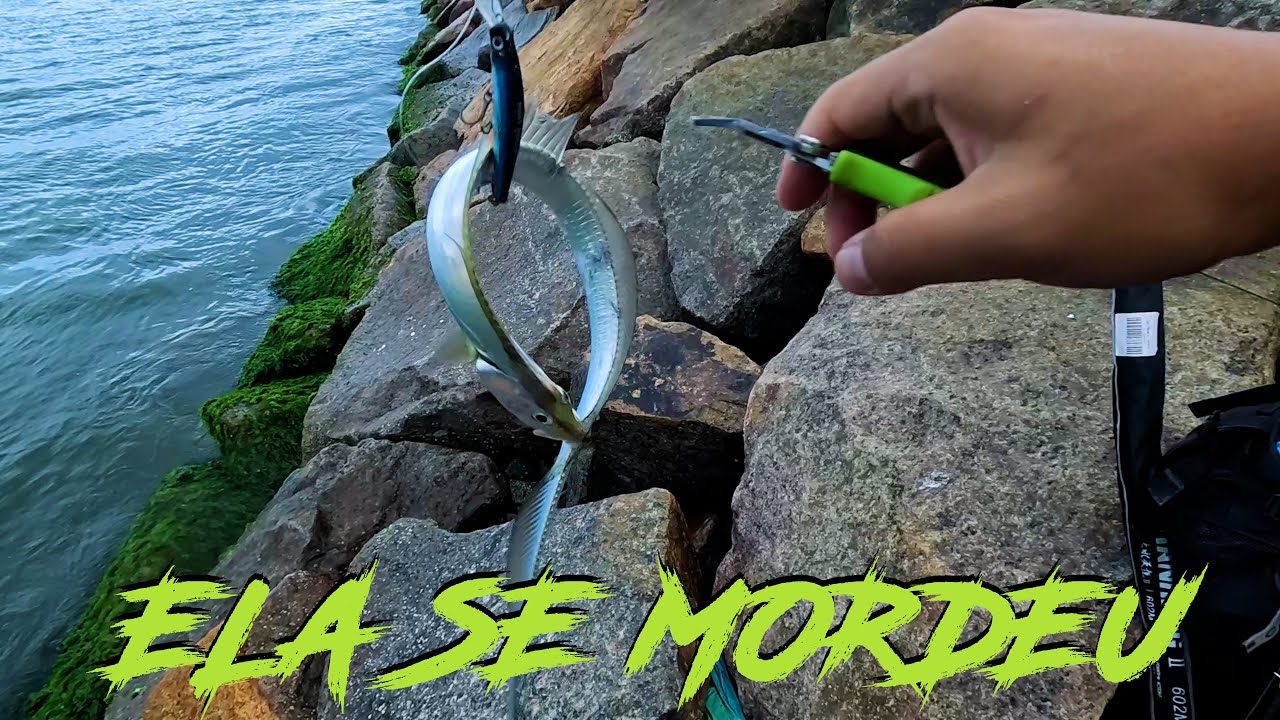 FUI PESCAR ROBALO mas ENCONTREI UM CARDUME DE ESPADAS