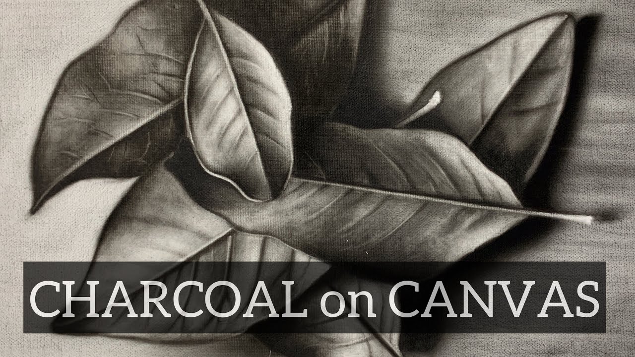 CHARCOAL on CANVAS(process video)