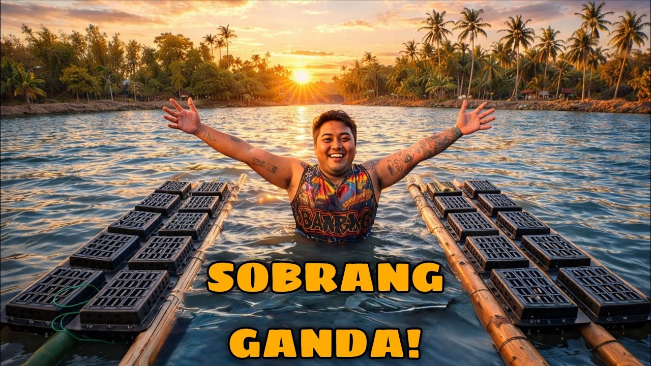 DOBLE NA ANG KULUNGAN NG ALIMANGO! MAS MADAMI MAS MAGANDA! 😍