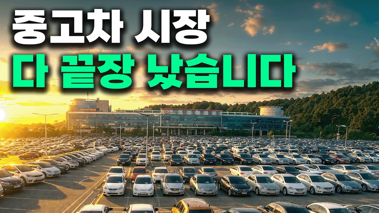 중고차 시장 다 끝장 나버린 이유