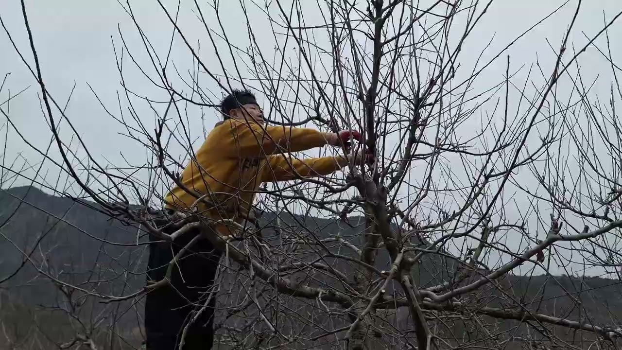 친구야 #산골 #귀촌생활