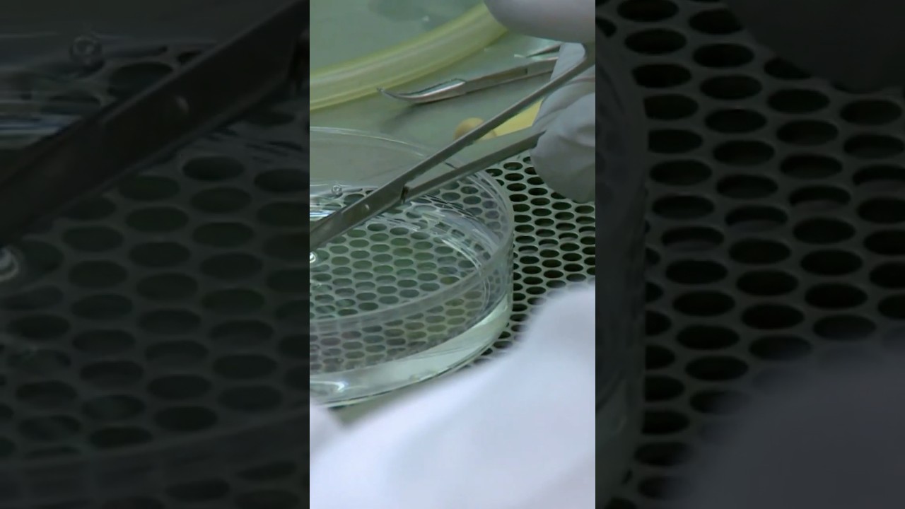 Die st&auml;rkste S&auml;ure der Welt ☣️🔬