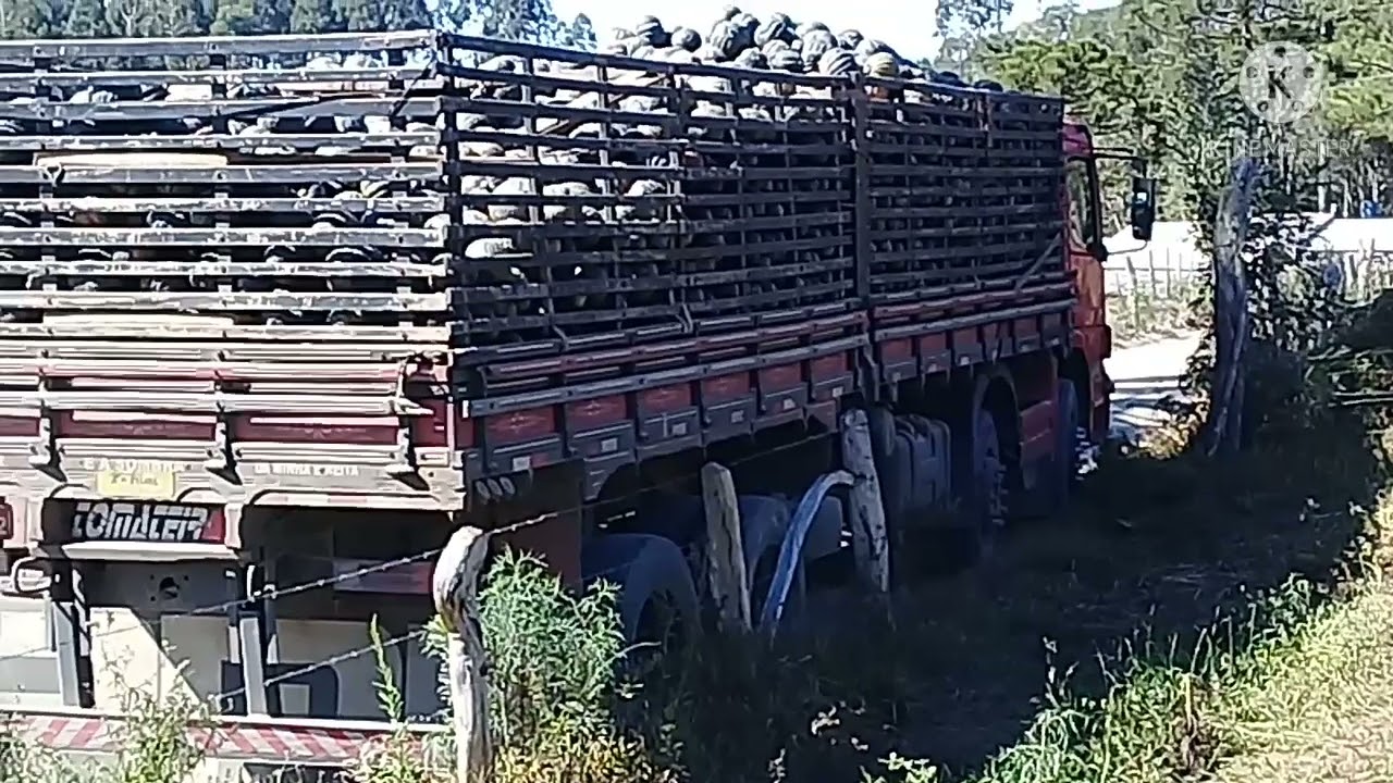 A vantagem  e  a desvantagem  dos  carregamentos 🚚🚚