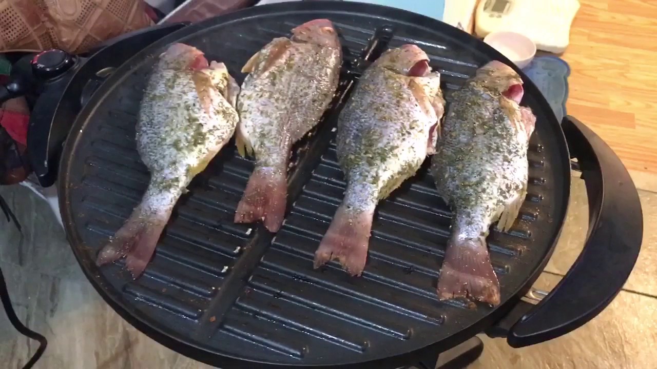 Red Snapper GRILLING on George Foreman