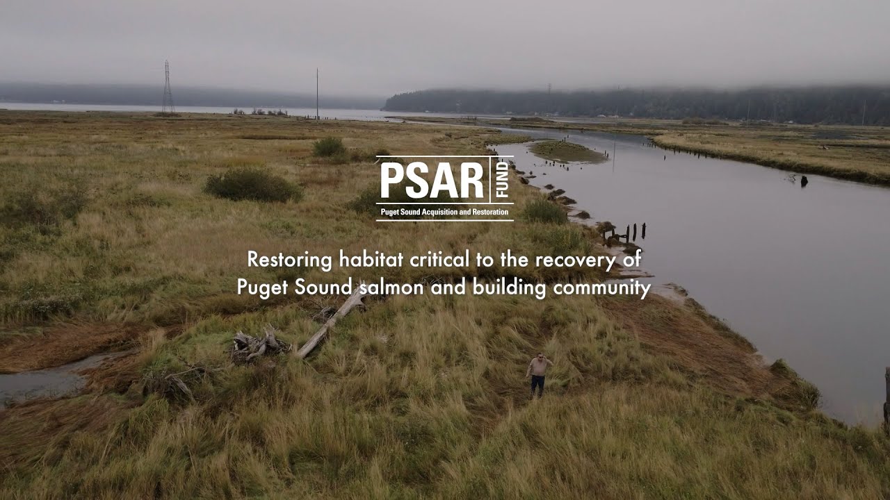 Puget Sound Acquisition and Restoration Fund: Restoring habitat critical to the recovery of salmon
