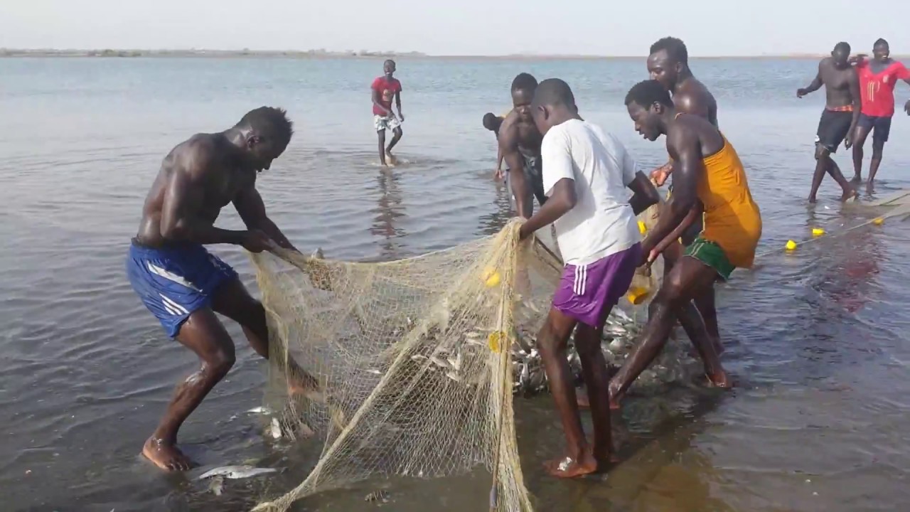Pêche traditonnelle Sénégal siné saloum djilor FAGAPA Village