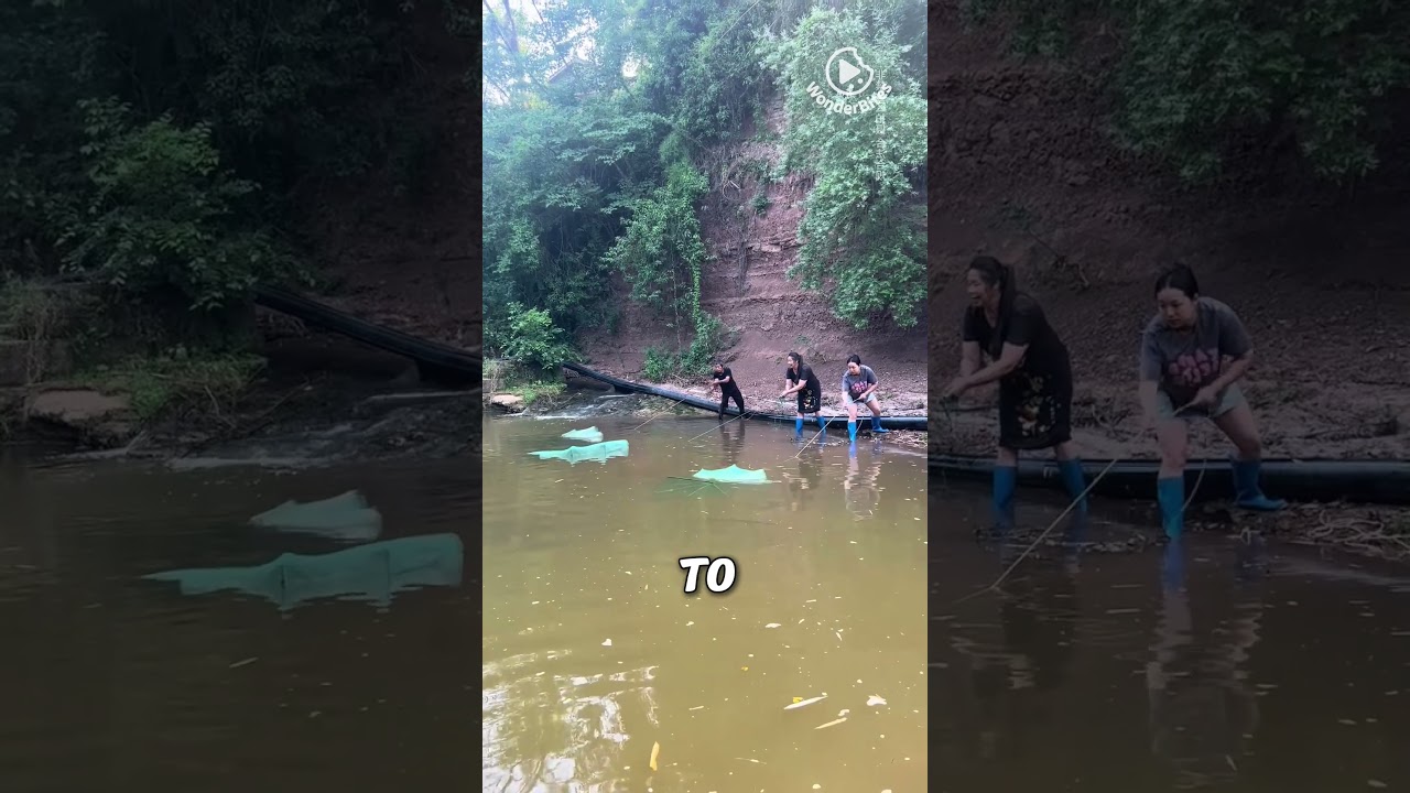 foldable fish trap